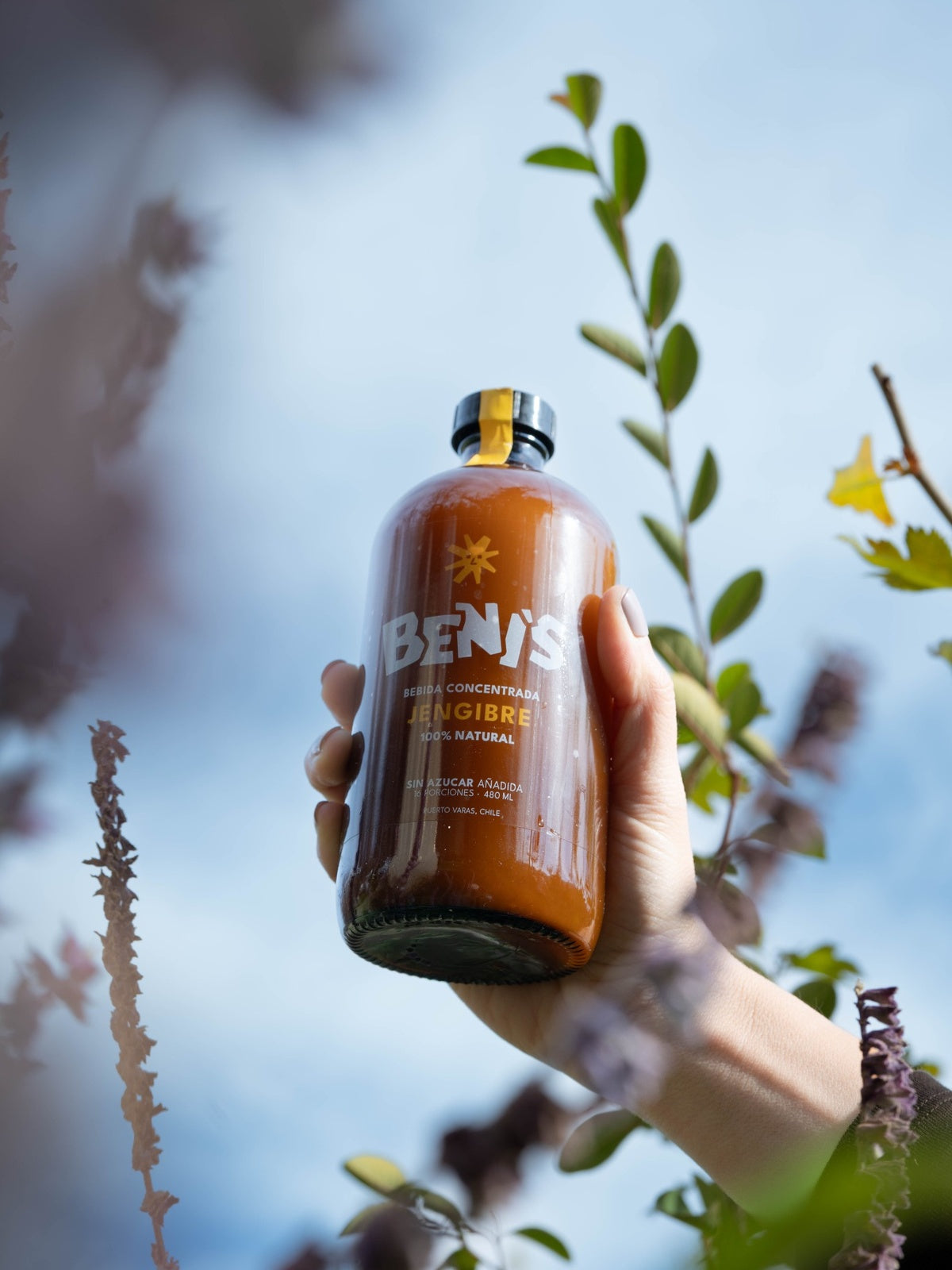 Beni's 480 ml